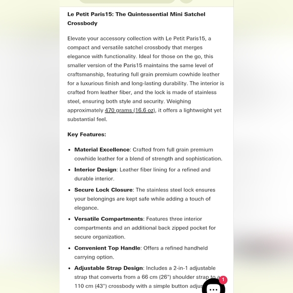 DUYP Graphite Grey "Le Petit Paris15" Mini Leather Crossbody bag Silver Hardware - Picture 15 of 16